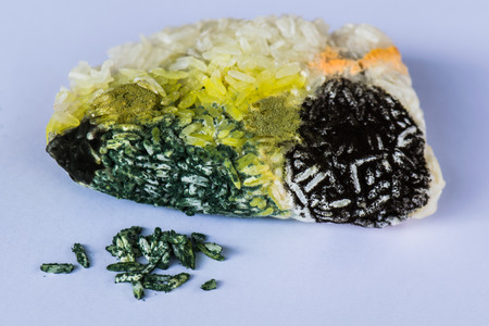 Fungi on sticky rice.の写真素材