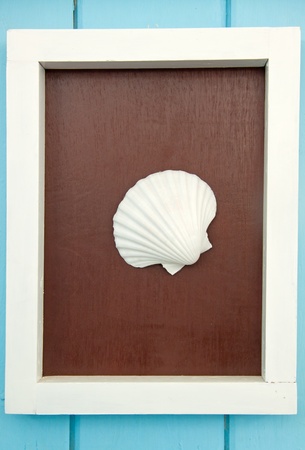 Shellfish decoration of the sea, Ocean decorationの写真素材