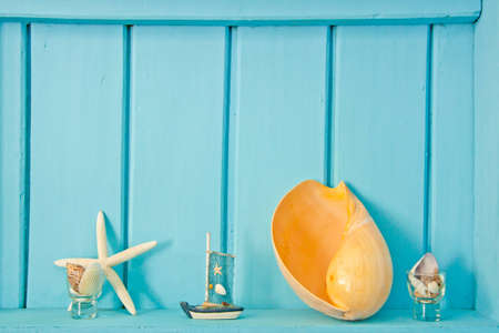 Shellfish decoration of the sea, Ocean decoration