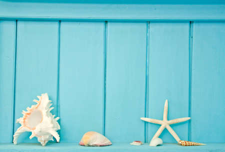 Shellfish decoration of the sea, Ocean decorationの写真素材