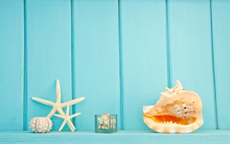 Shellfish decoration of the sea, Ocean decorationの写真素材