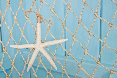 Starfish on blue background