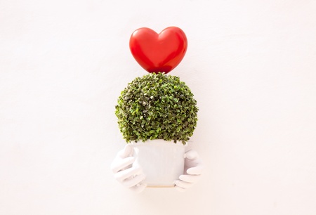 bouquet of green leaf and heart in a vase on white wallの写真素材