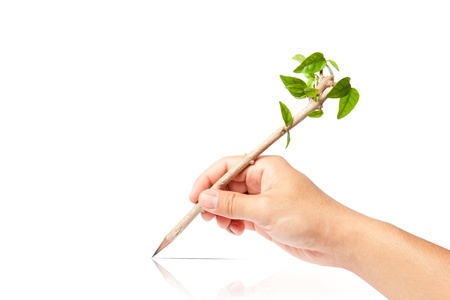 creative pencil with green tree on white backgorundの写真素材