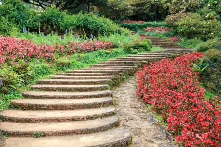 Walk Way on the seasonal flower garden, Thailandの写真素材