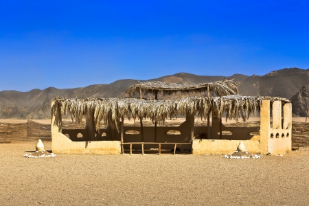 Moshe the Bedouin in the Sahara desert in Egyptの写真素材