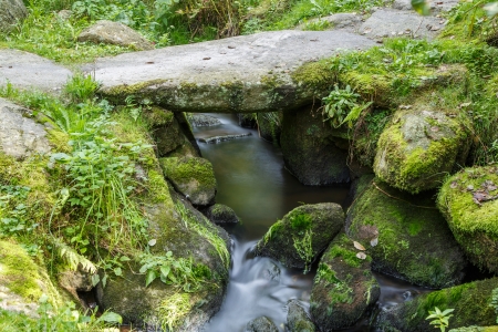 Mountain River in the Bavarian wood Germanyの写真素材