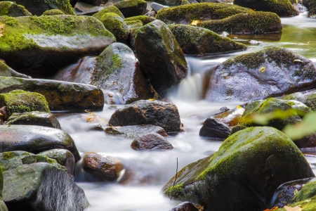 Mountain River in the Bavarian wood Germanyの写真素材