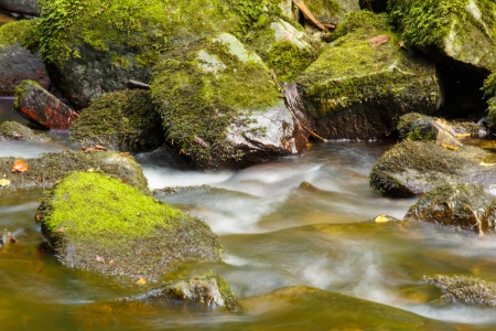 Mountain River in the Bavarian wood Germanyの写真素材
