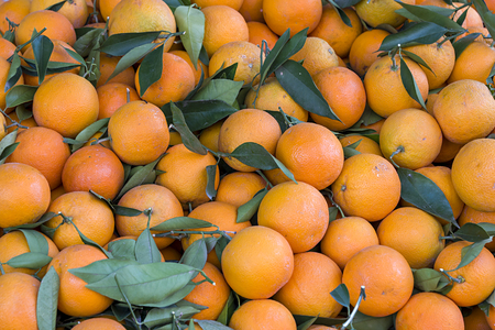 Oranges on a Turkish farmers marketの写真素材