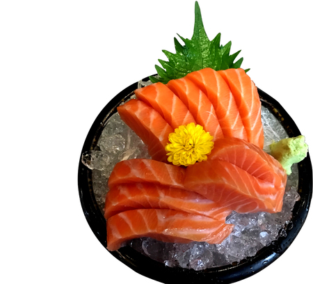 salmon sashimi on iceの写真素材
