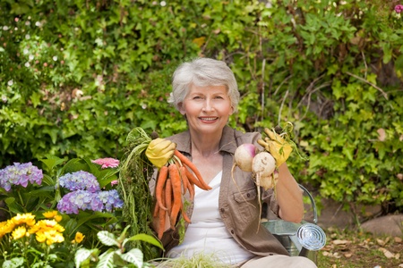 Retired woman working in the gardenの写真素材