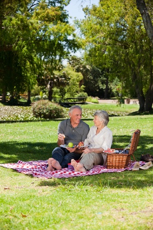 Elderly couple  picnicking in the garden の写真素材
