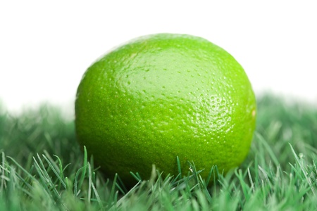 Green lemon on grass on a white backgroundの写真素材