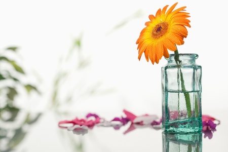 Orange gerbera in a glass flask with pink petals and leaves focus on the flask and the flowerの写真素材
