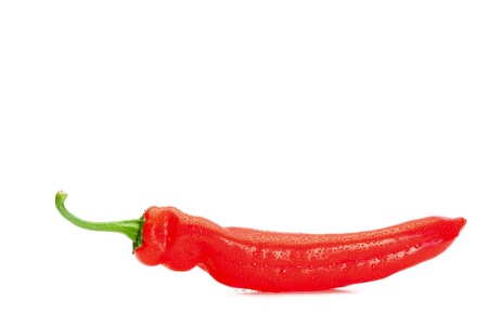 Red pepper on a white backgroundの写真素材