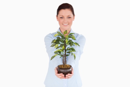 Good looking red-haired woman holding a houseplant while standing on a white backgroundの写真素材