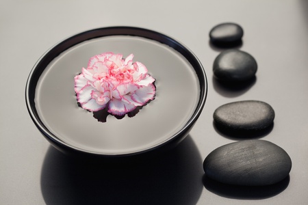 Pink and white carnation floating in a black bowl with aligned black stones on its sideの写真素材