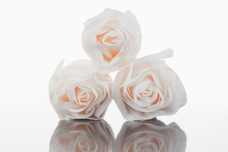 White roses on a mirror against a white backgroundの写真素材