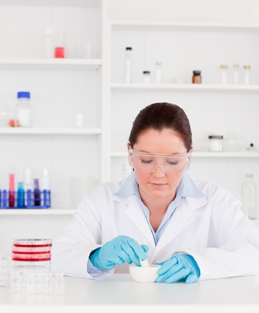 Young scientist preparing an experimentation wearing glovesの写真素材