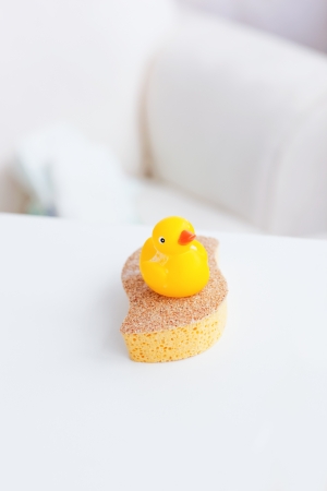 Close-up of a yellow plastic duck on a sponge in the living-roomの写真素材