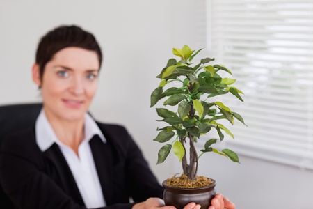 Office worker holding a plant in her officeの写真素材
