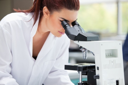 Scientist looking into a microscope in a laboratory
