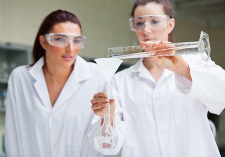 Gorgeous scientists doing an experiment in a laboratory