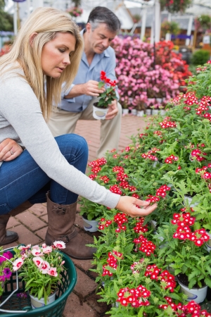 Couple searching red flowers in garden centreの写真素材