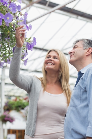 Couple looking at flowers in hanging basket with woman touching themの写真素材