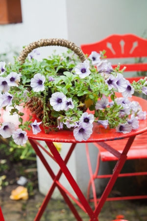 Basket of purple flowers on red garden tableの写真素材