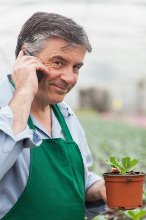 Man calling and holding a seedling working in a greenhouseの写真素材