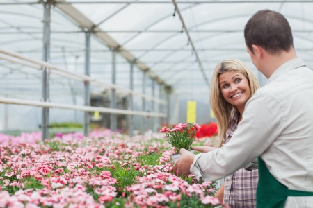 Woman choosing flower while talking to florist in horticultureの写真素材
