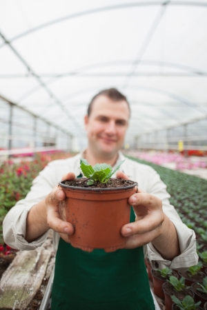 Employee holding up potted plant in greenhouse garden centerの写真素材