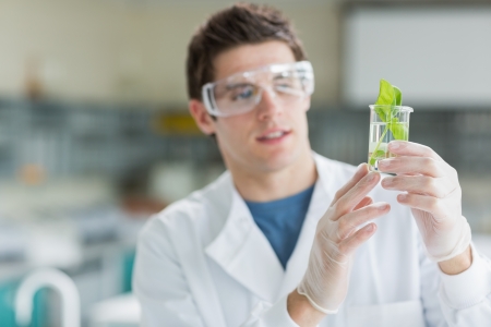 Student standing at the laboratory looking at the seedling in beakerの写真素材