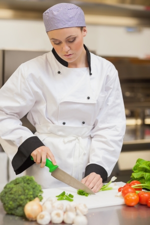 Chef preparing the vegetables in the kitchenの写真素材