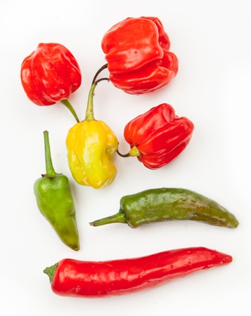 Various hot chillies on white backgroundの写真素材