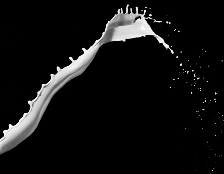 Milk splash isolated against a black backgroundの写真素材