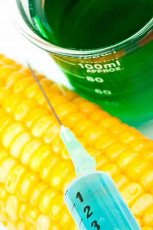 Corn next to a beaker against a white backgroundの写真素材
