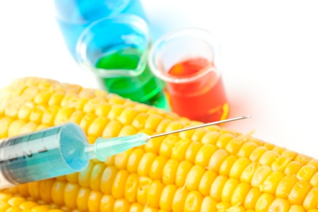 Syringe on corn next to beakers against a white backgroundの写真素材