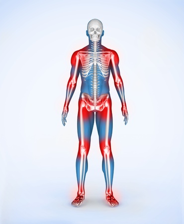 Red joints of a blue digital skeleton bodyの写真素材
