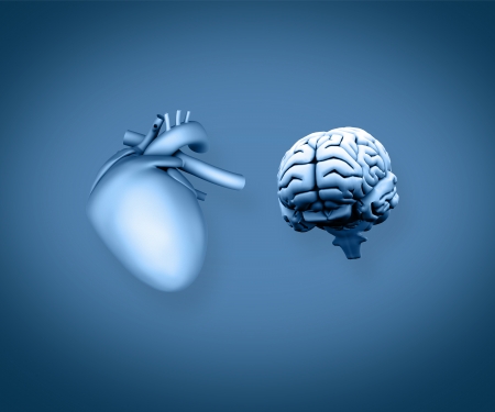 Heart and brain on blue backgroundの写真素材