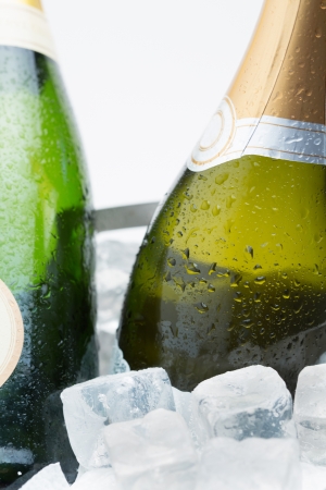 Two bottles of champagne chilling on ice on white backgroundの写真素材