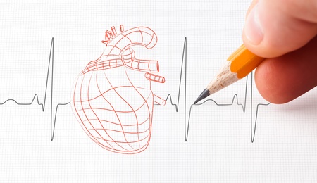 Sketch of a heart and heart rate line drawn with a pencilの写真素材