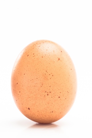 One spotty egg on white backgroundの写真素材