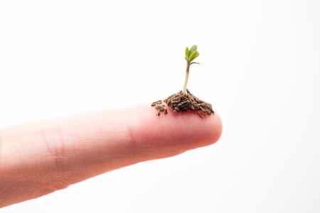 Seedling on a fingertip on white backgroundの写真素材