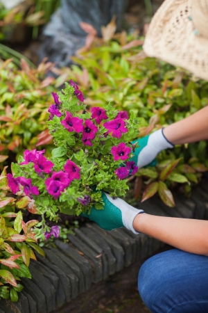 A woman with a hat is working in the garden with glovesの写真素材
