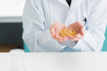 Student in lab coat holding grain in the laboratoryの写真素材