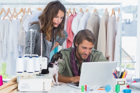 Fashion designers with chihuahua working on laptopの写真素材