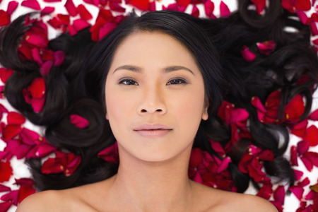Sensual dark haired model lying in rose petals on white backgroundの写真素材
